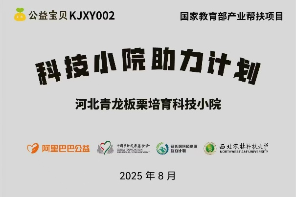 图片 1.png