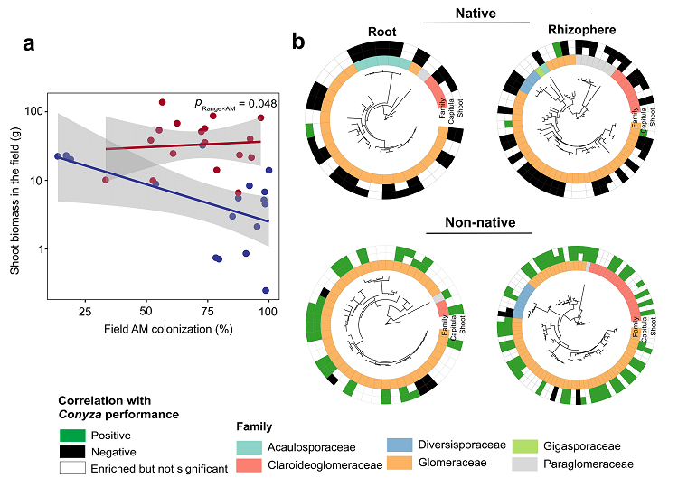 cac785229ea1480c8af4ef5044d75022.png 图片2.png