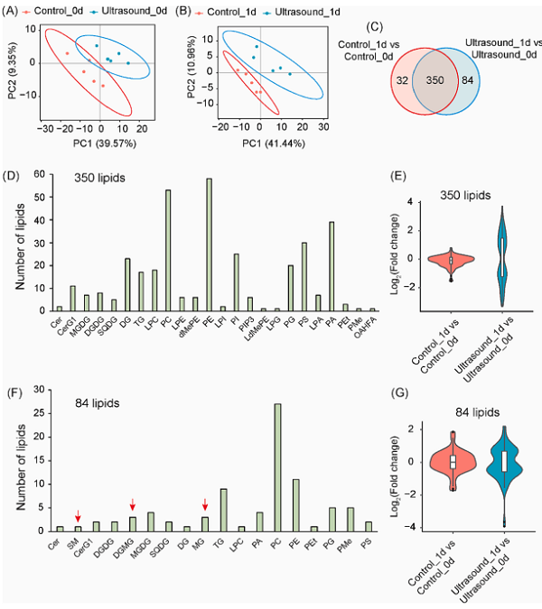 4352b04ac4fc40bdbb302e3a3b2538cb.png 图片4.png