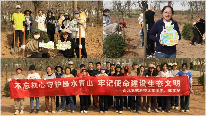 79cef4473aec4adaab758172e1aedaf4.png WPS拼图1.png