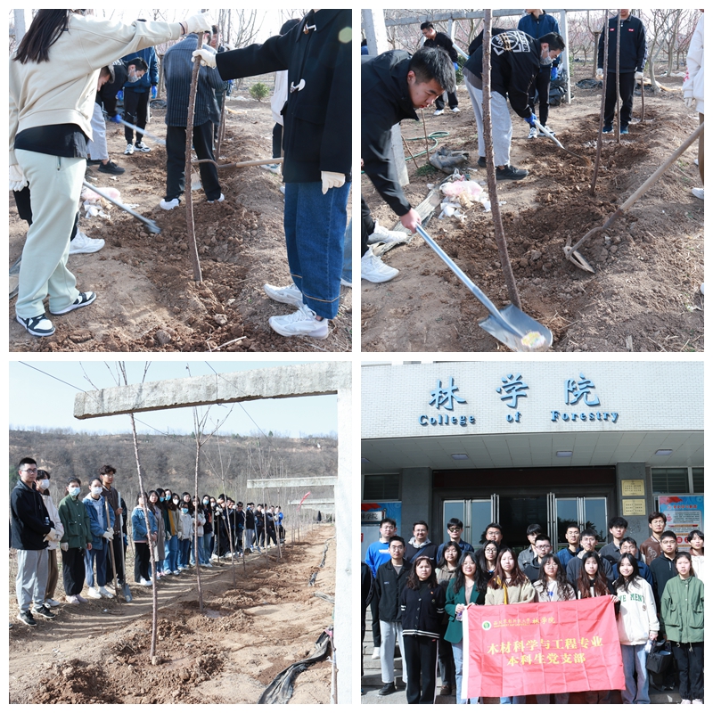 9f26692fbe47475080f5364f342d1583.jpg 光影魔术手拼图.jpg