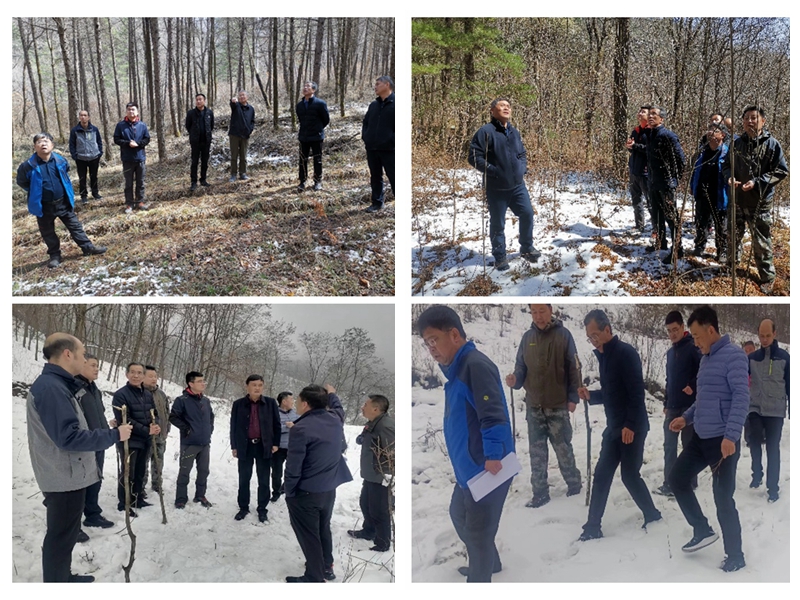 dd4a2358d18e4da7acb15425f556e37e.jpg 实地考察.jpg