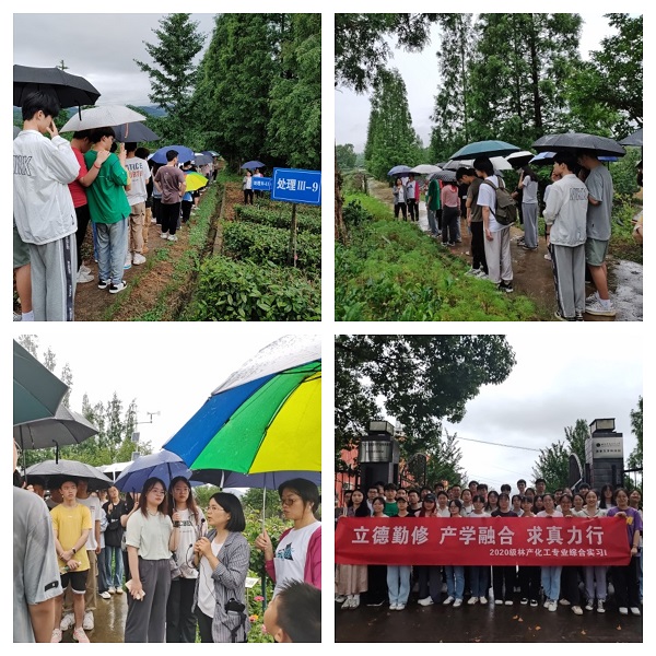 182574e6e132419b8e1747d01c457bb5.jpg 4.jpg