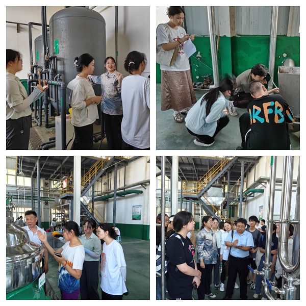 ae3bcec0b77d41ec8dd82f3acc03839b.jpg 5.jpg