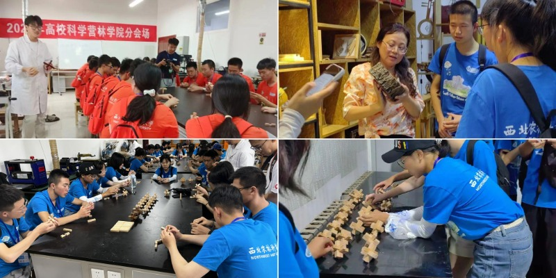 1bee211039724b56b6861c0ab7876f8d.png WPS拼图5.png